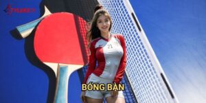 Bóng bàn Tỷ lệ kèo wales - Làm chủ nghệ thuật cược table tennis