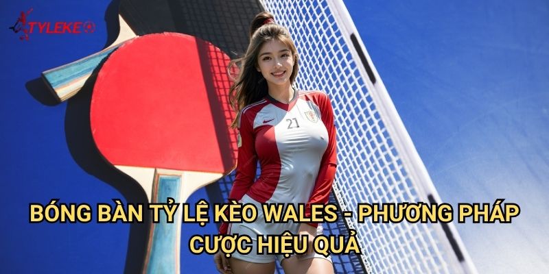 Bóng bàn Tỷ lệ kèo wales - Làm chủ nghệ thuật cược table tennis 3 Bóng bàn Tỷ lệ kèo Wales - Phương pháp cược hiệu quả