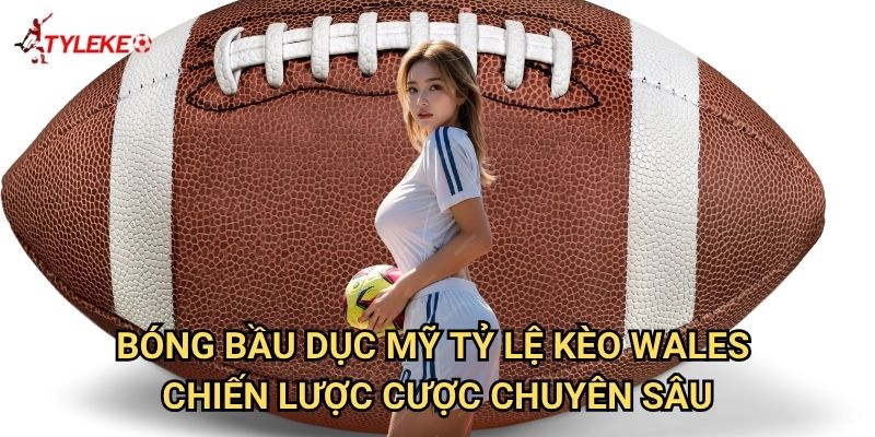 Bóng bầu dục Mỹ Tỷ lệ kèo wales - Cẩm nang cá cược NFL toàn diện 3 Bóng bầu dục Mỹ Tỷ lệ kèo wales - Chiến lược cược chuyên sâu