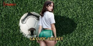 Cá cược Cricket Tỷ lệ kèo wales - Nghệ thuật cược bóng cricket quốc tế