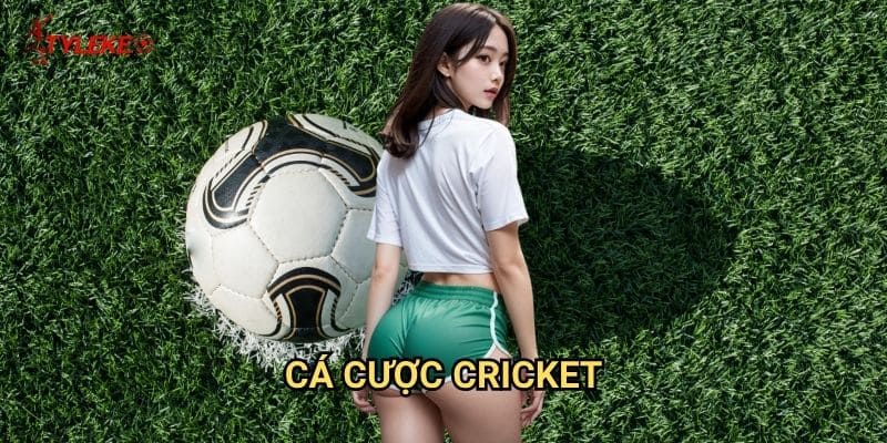 Cá cược Cricket Tỷ lệ kèo wales - Nghệ thuật cược bóng cricket quốc tế