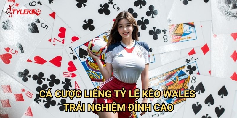 Cá cược Liêng Tỷ lệ kèo wales - Chiến thuật thắng lớn mỗi ngày 2 Cá cược Liêng Tỷ lệ kèo wales - Trải nghiệm đỉnh cao