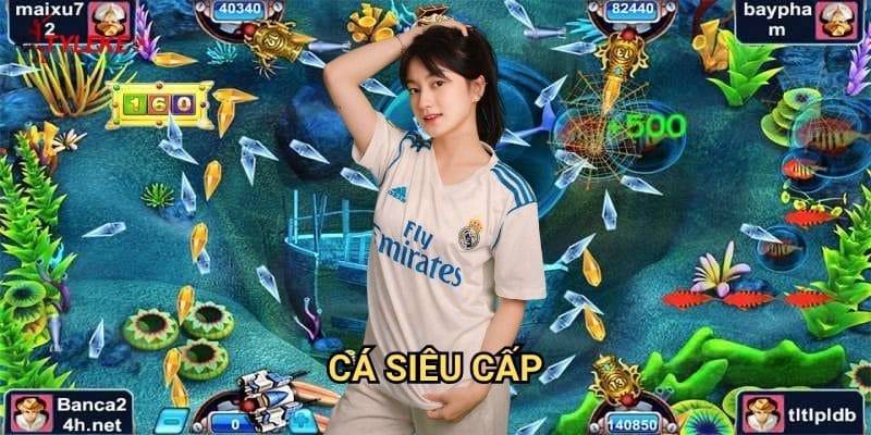 Cá Siêu Cấp Tỷ lệ kèo wales - Trải Nghiệm Đỉnh Cao Cùng Hệ Thống Kèo Chuyên Nghiệp