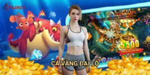 Cá Vàng Đại Lộ Tỷ lệ kèo wales - Hành trình săn tìm cá vàng trên con đường thịnh vượng