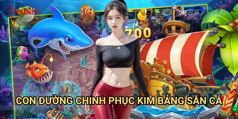 Bắn Cá Kim Bảng Tỷ lệ kèo wales - Danh hiệu cao quý dành cho cao thủ săn cá 3 Con đường chinh phục kim bảng săn cá