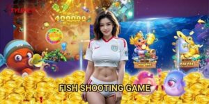 Fish Shooting Game Tỷ lệ kèo wales - Cuộc phiêu lưu bắn cá không giới hạn