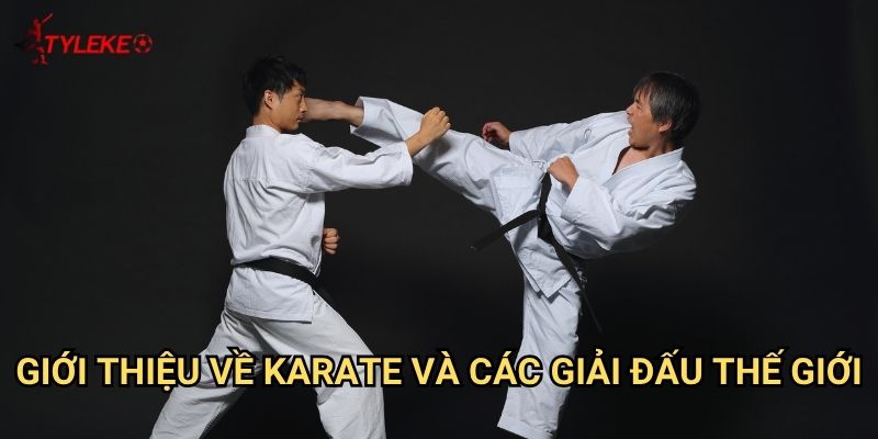 Karate đấu võ Tỷ lệ kèo wales - Làm chủ cá cược võ thuật truyền thống 2 Giới thiệu về karate và các giải đấu thế giới