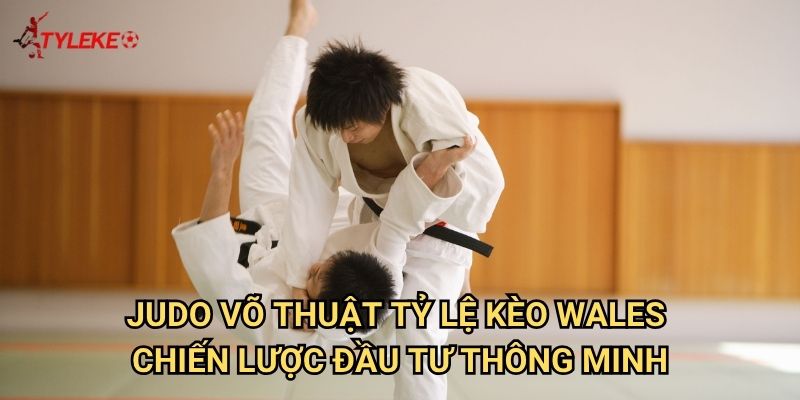 Judo võ thuật Tỷ lệ kèo wales - Nghệ thuật cá cược võ Nhật Bản 3 Judo võ thuật Tỷ lệ kèo wales - Chiến lược đầu tư thông minh