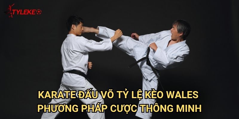 Karate đấu võ Tỷ lệ kèo wales - Làm chủ cá cược võ thuật truyền thống 3 Karate đấu võ Tỷ lệ kèo wales - Phương pháp cược thông minh