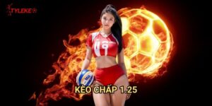 Kèo chấp 1.25 Tỷ lệ kèo wales - Nghệ thuật cược với mức chấp một tứ kết