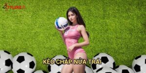 Kèo chấp nửa trái Tỷ lệ kèo wales - Làm chủ loại kèo phổ biến nhất bóng đá