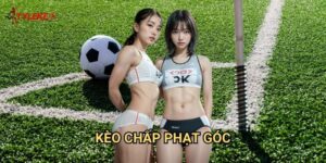 Kèo chấp phạt góc Tỷ lệ kèo wales - Nghệ thuật cược phụ với tỷ lệ hấp dẫn