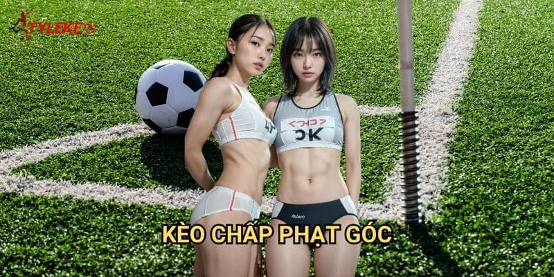 Kèo chấp phạt góc Tỷ lệ kèo wales - Nghệ thuật cược phụ với tỷ lệ hấp dẫn