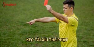 Kèo tài xỉu thẻ phạt Tỷ lệ kèo wales - Đo lường mức độ khốc liệt của cuộc đấu