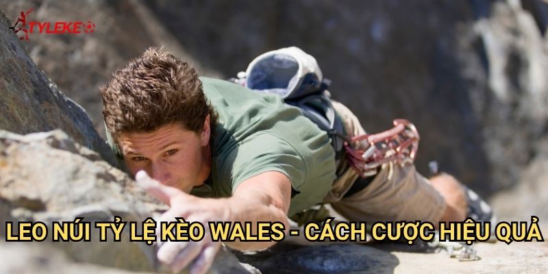 Leo núi Tỷ lệ kèo wales - Chinh phục đỉnh cao thể thao mạo hiểm 3 Leo núi Tỷ lệ kèo wales - Cách cược hiệu quả