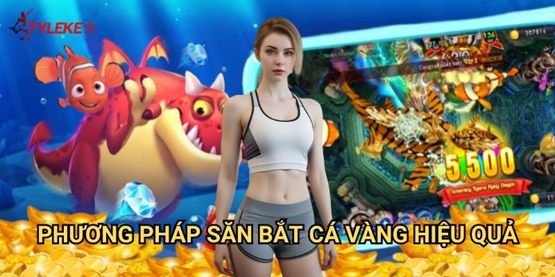 Cá Vàng Đại Lộ Tỷ lệ kèo wales - Hành trình săn tìm cá vàng trên con đường thịnh vượng 3 Phương pháp săn bắt cá vàng hiệu quả