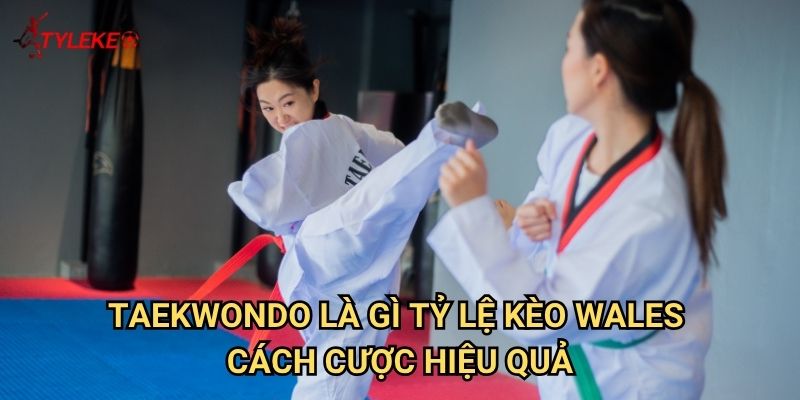 Taekwondo là gì Tỷ lệ kèo wales - Khám phá võ thuật Hàn Quốc 3 Taekwondo là gì Tỷ lệ kèo wales - Cách cược hiệu quả