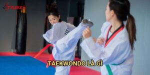 Taekwondo là gì Tỷ lệ kèo wales - Khám phá võ thuật Hàn Quốc