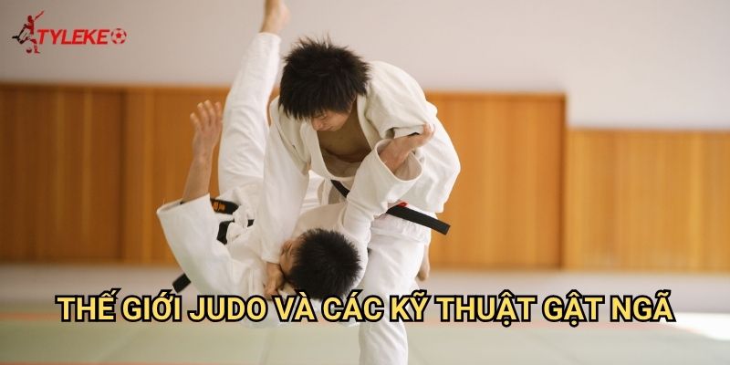 Judo võ thuật Tỷ lệ kèo wales - Nghệ thuật cá cược võ Nhật Bản 2 Thế giới judo và các kỹ thuật gật ngã