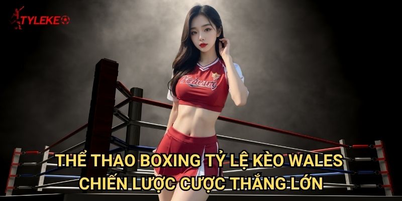 Thể thao Boxing Tỷ lệ kèo wales - Hướng dẫn cá cược quyền anh chuyên nghiệp 3 Thể thao Boxing Tỷ lệ kèo Wales - Chiến lược cược thắng lớn