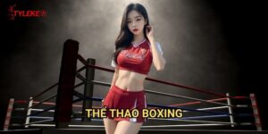 Thể thao Boxing Tỷ lệ kèo wales - Hướng dẫn cá cược quyền anh chuyên nghiệp