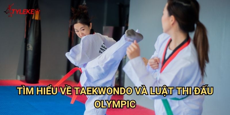 Taekwondo là gì Tỷ lệ kèo wales - Khám phá võ thuật Hàn Quốc 2 Tìm hiểu về taekwondo và luật thi đấu Olympic