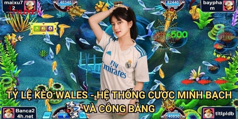 Cá Siêu Cấp Tỷ lệ kèo wales - Trải Nghiệm Đỉnh Cao Cùng Hệ Thống Kèo Chuyên Nghiệp 3 Tỷ Lệ Kèo Wales - Hệ Thống Cược Minh Bạch Và Công Bằng