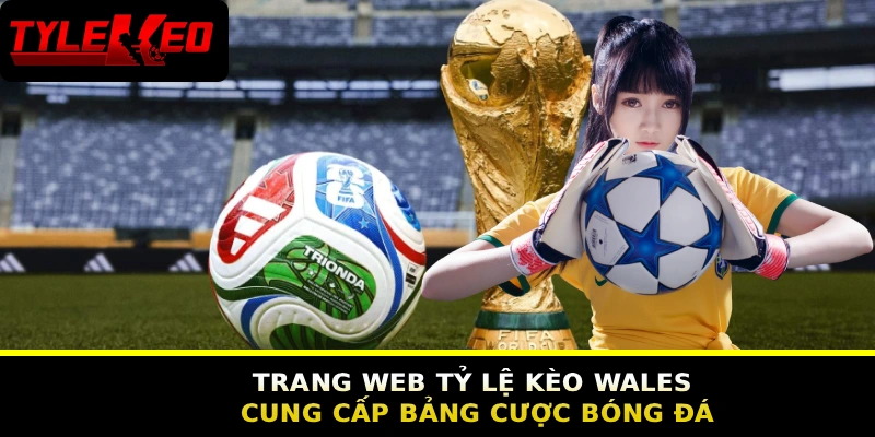TRANG CHỦ 9 Trang web tỷ lệ kèo wales cung cấp bảng cược bóng đá